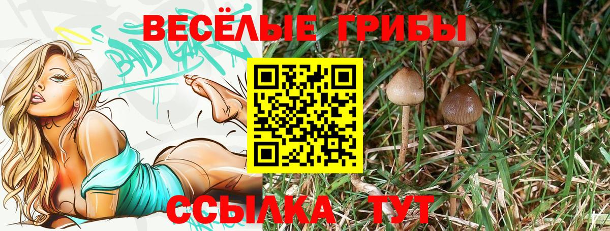Галлюциногенные грибы Magic Shrooms Нефтекамск