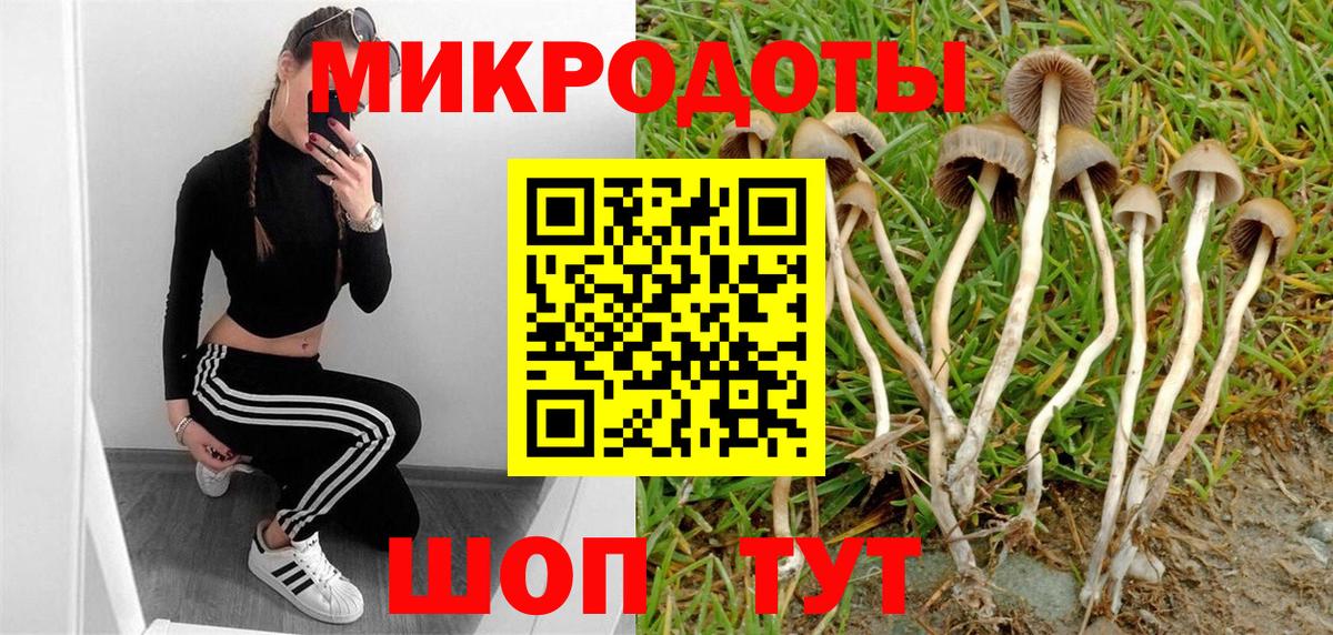 Галлюциногенные грибы MAGIC MUSHROOMS  Вход с VPN  Галлюциногенные грибы Psilocybine cubensis  Нефтекамск 